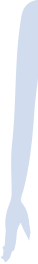 腕