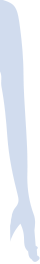 腕