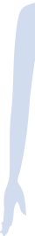 腕