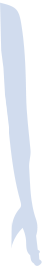 腕